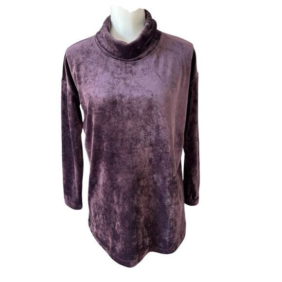 J. JILL Velour Turtleneck Size XS Purple Relaxed Fit Cozy Loungewear Comfort - Picture 1 of 8